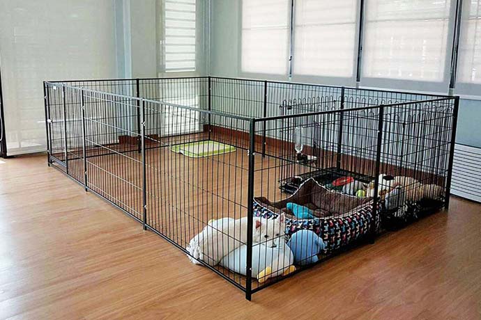 จัดระเบียบสุนัขด้วยคอกสุนัขในบ้าน