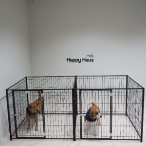 คอกสุนัขแบบแฝด