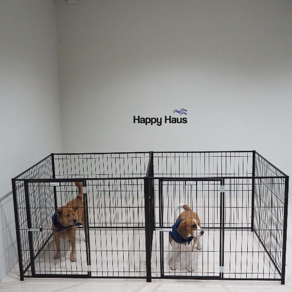 คอกสุนัขแบบแฝด