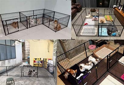 จัดคอกสุนัขได้หลายรูปแบบ แฮปปี้เฮาส์