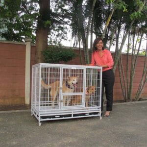 กรงสุนัข