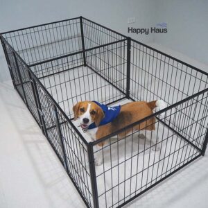 คอกสุนัข S แฝด