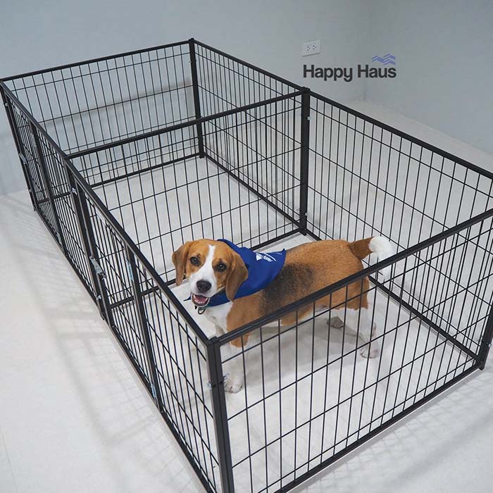 คอกสุนัข S แฝด