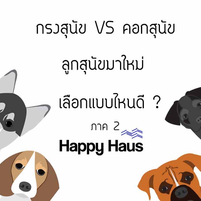 คอกสุนัข หรือกรงสุนัขเลือกอะไรดีภาค 2