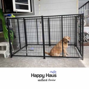 review dog fence playpen L รีวิวคอกสุนัข ลาบราดอร์