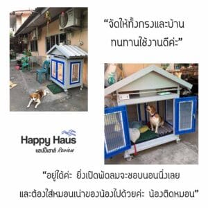 รีวิวบ้านสุนัข S กรงสุนัข beagle