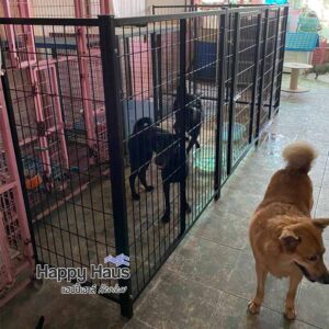 review dog fence playpen L รีวิวคอกสุนัข ไทย