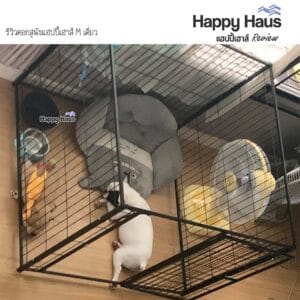 รีวิวคอกสุนัข คอกหมา M เดี่ยว แฮปปี้เฮาส์ French Bulldog