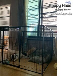 รีวิวคอกสุนัข คอกหมา M เดี่ยว แฮปปี้เฮาส์ French Bulldog