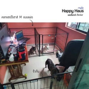 รีวิวคอกสุนัข คอกหมา M เดี่ยว แฮปปี้เฮาส์ French Bulldog