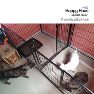 รีวิวคอกสุนัข คอกหมา M เดี่ยว แฮปปี้เฮาส์ French Bulldog