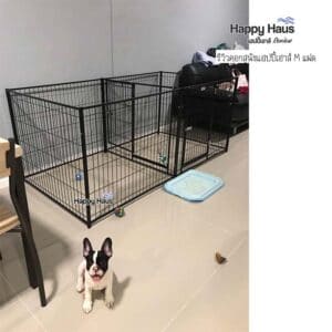 รีวิวคอกสุนัข คอกหมา M เดี่ยว แฮปปี้เฮาส์ French Bulldog