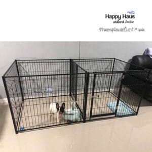 รีวิวคอกสุนัข คอกหมา M เดี่ยว แฮปปี้เฮาส์ French Bulldog