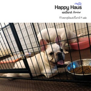 รีวิวคอกสุนัข คอกหมา M เดี่ยว แฮปปี้เฮาส์ French Bulldog