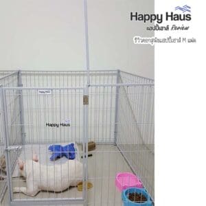 รีวิวคอกสุนัข คอกหมา M เดี่ยว แฮปปี้เฮาส์ French Bulldog