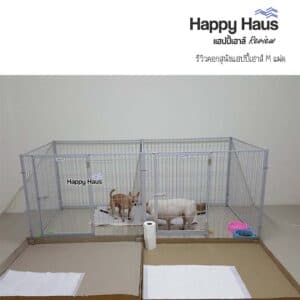 รีวิวคอกสุนัข คอกหมา M เดี่ยว แฮปปี้เฮาส์ French Bulldog