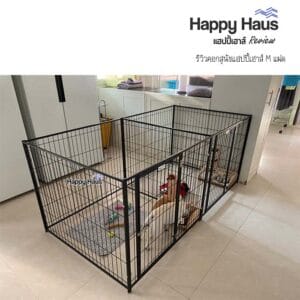 รีวิวคอกสุนัข คอกหมา M เดี่ยว แฮปปี้เฮาส์ French Bulldog