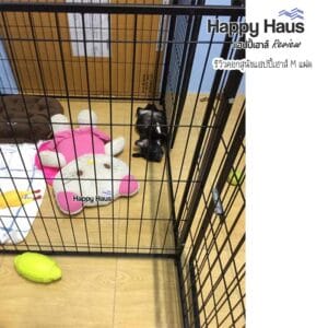 รีวิวคอกสุนัข คอกหมา M เดี่ยว แฮปปี้เฮาส์ French Bulldog