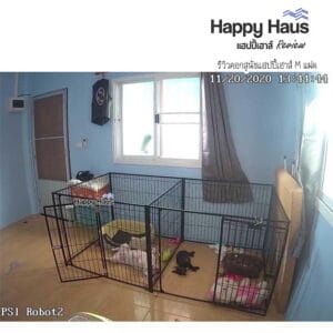 รีวิวคอกสุนัข คอกหมา M เดี่ยว แฮปปี้เฮาส์ French Bulldog