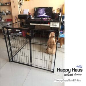 รีวิวคอกสุนัข คอกหมา M เดี่ยว แฮปปี้เฮาส์ French Bulldog