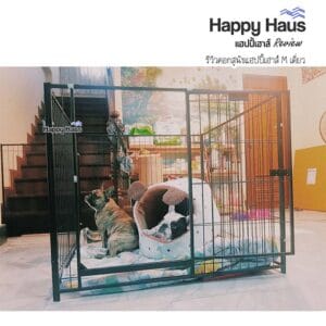 รีวิวคอกสุนัข คอกหมา M เดี่ยว แฮปปี้เฮาส์ French Bulldog
