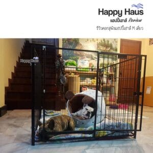 รีวิวคอกสุนัข คอกหมา M เดี่ยว แฮปปี้เฮาส์ French Bulldog