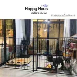 รีวิวคอกสุนัข คอกหมา M เดี่ยว แฮปปี้เฮาส์ French Bulldog