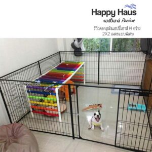 รีวิวคอกสุนัข คอกหมา M เดี่ยว แฮปปี้เฮาส์ French Bulldog