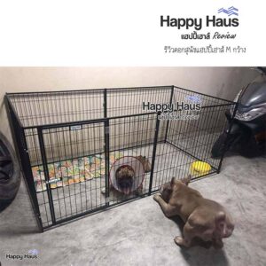 รีวิวคอกสุนัข คอกหมา M เดี่ยว แฮปปี้เฮาส์ French Bulldog