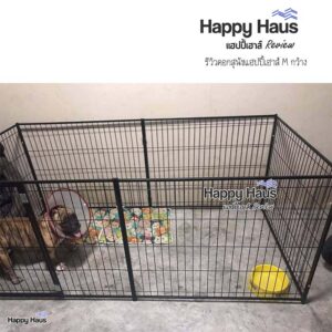 รีวิวคอกสุนัข คอกหมา M เดี่ยว แฮปปี้เฮาส์ French Bulldog