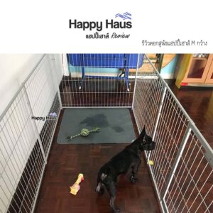 รีวิวคอกสุนัข คอกหมา M เดี่ยว แฮปปี้เฮาส์ French Bulldog