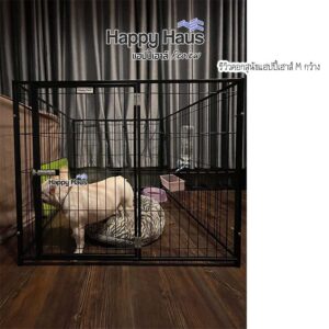 รีวิวคอกสุนัข คอกหมา M เดี่ยว แฮปปี้เฮาส์ French Bulldog