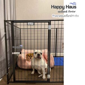 รีวิวคอกสุนัข คอกหมา M เดี่ยว แฮปปี้เฮาส์ French Bulldog