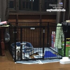 รีวิวคอกสุนัข คอกหมา S เดี่ยว แฮปปี้เฮาส์ French Bulldog