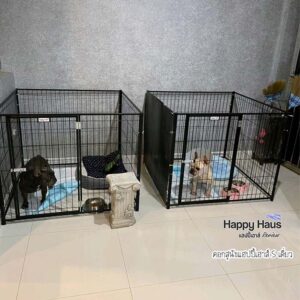 รีวิวคอกสุนัข คอกหมา S เดี่ยว แฮปปี้เฮาส์ French Bulldog
