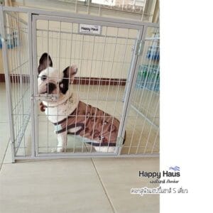 รีวิวคอกสุนัข คอกหมา S เดี่ยว แฮปปี้เฮาส์ French Bulldog