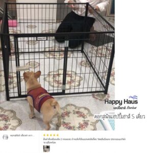 รีวิวคอกสุนัข คอกหมา S เดี่ยว แฮปปี้เฮาส์ French Bulldog