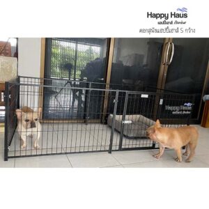 รีวิวคอกสุนัข คอกหมา S กว้าง แฮปปี้เฮาส์ French Bulldog