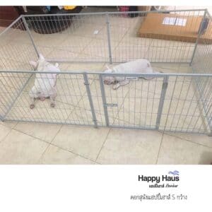 รีวิวคอกสุนัข คอกหมา S กว้าง แฮปปี้เฮาส์ French Bulldog