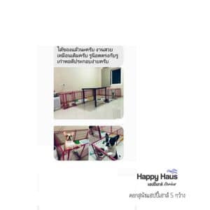 รีวิวคอกสุนัข คอกหมา S กว้าง แฮปปี้เฮาส์ French Bulldog