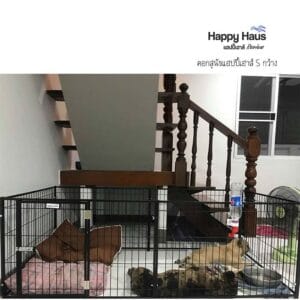 รีวิวคอกสุนัข คอกหมา S กว้าง แฮปปี้เฮาส์ French Bulldog