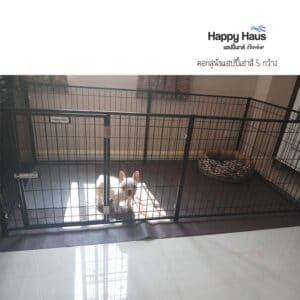รีวิวคอกสุนัข คอกหมา S กว้าง แฮปปี้เฮาส์ French Bulldog