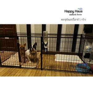 รีวิวคอกสุนัข คอกหมา S กว้าง แฮปปี้เฮาส์ French Bulldog