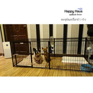 รีวิวคอกสุนัข คอกหมา S กว้าง แฮปปี้เฮาส์ French Bulldog