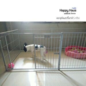 รีวิวคอกสุนัข คอกหมา S กว้าง แฮปปี้เฮาส์ French Bulldog