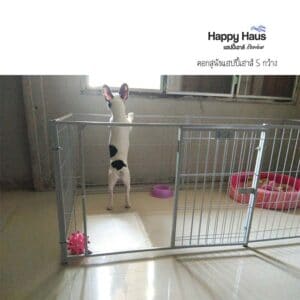รีวิวคอกสุนัข คอกหมา S กว้าง แฮปปี้เฮาส์ French Bulldog