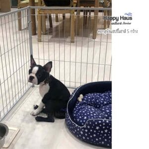 รีวิวคอกสุนัข คอกหมา S กว้าง แฮปปี้เฮาส์ French Bulldog