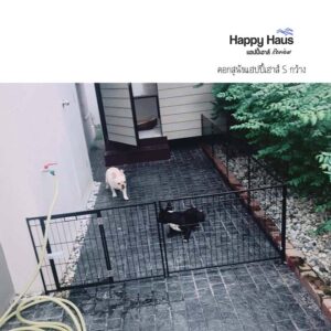 รีวิวคอกสุนัข คอกหมา S กว้าง แฮปปี้เฮาส์ French Bulldog