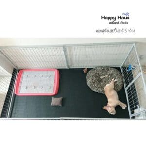 รีวิวคอกสุนัข คอกหมา S กว้าง แฮปปี้เฮาส์ French Bulldog
