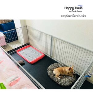 รีวิวคอกสุนัข คอกหมา S กว้าง แฮปปี้เฮาส์ French Bulldog